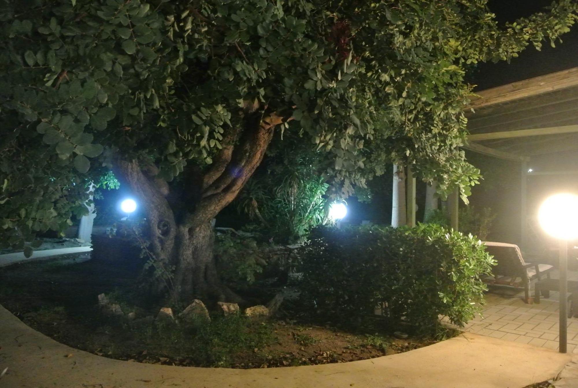 Villa Carlotta Resort San Leone Eksteriør billede